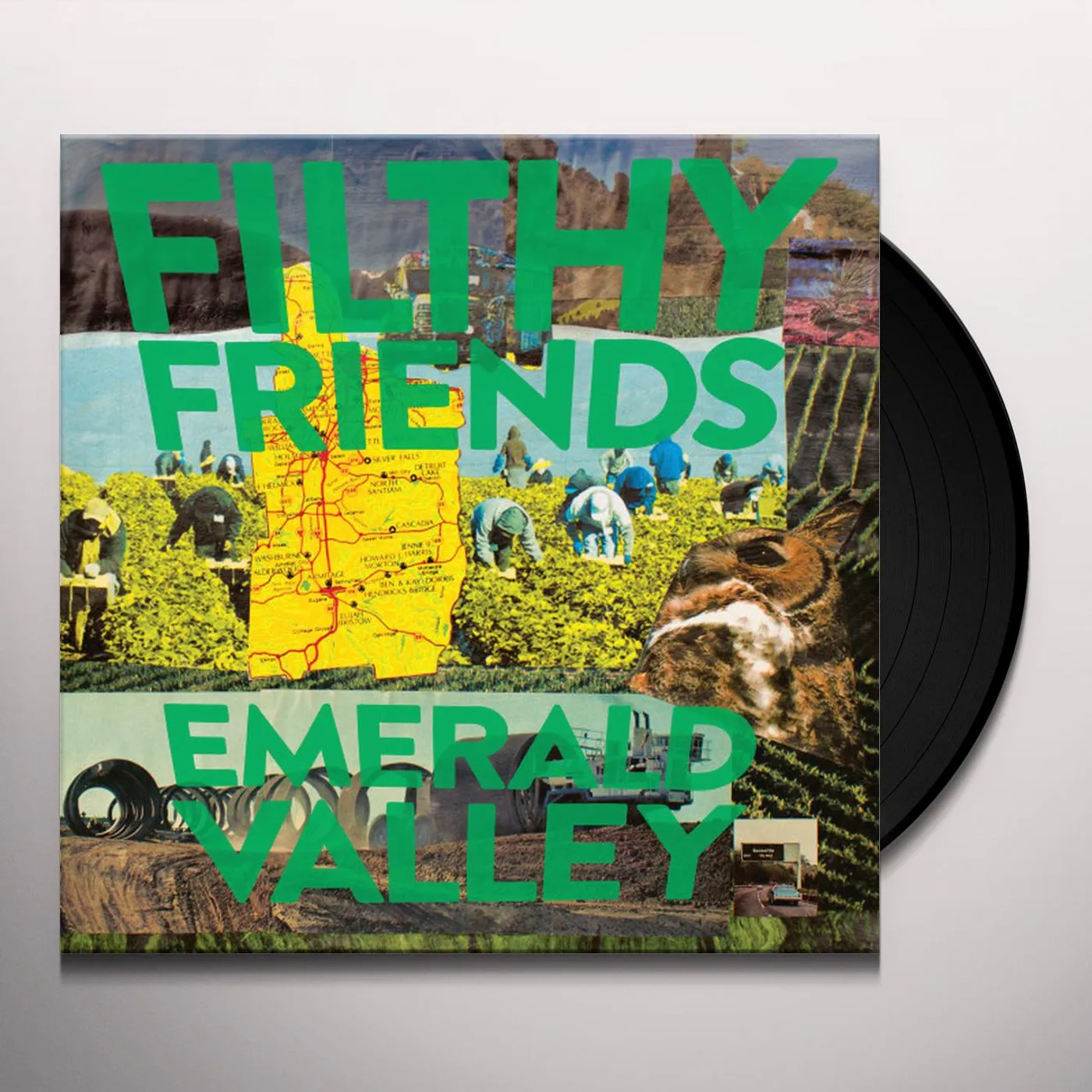 Filthy Friends Emerald Valley Vinyl Record