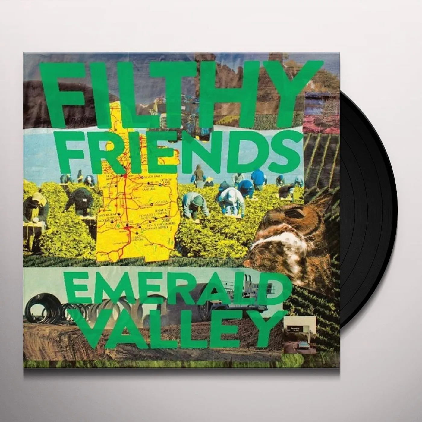 Filthy Friends Emerald Valley Vinyl Record
