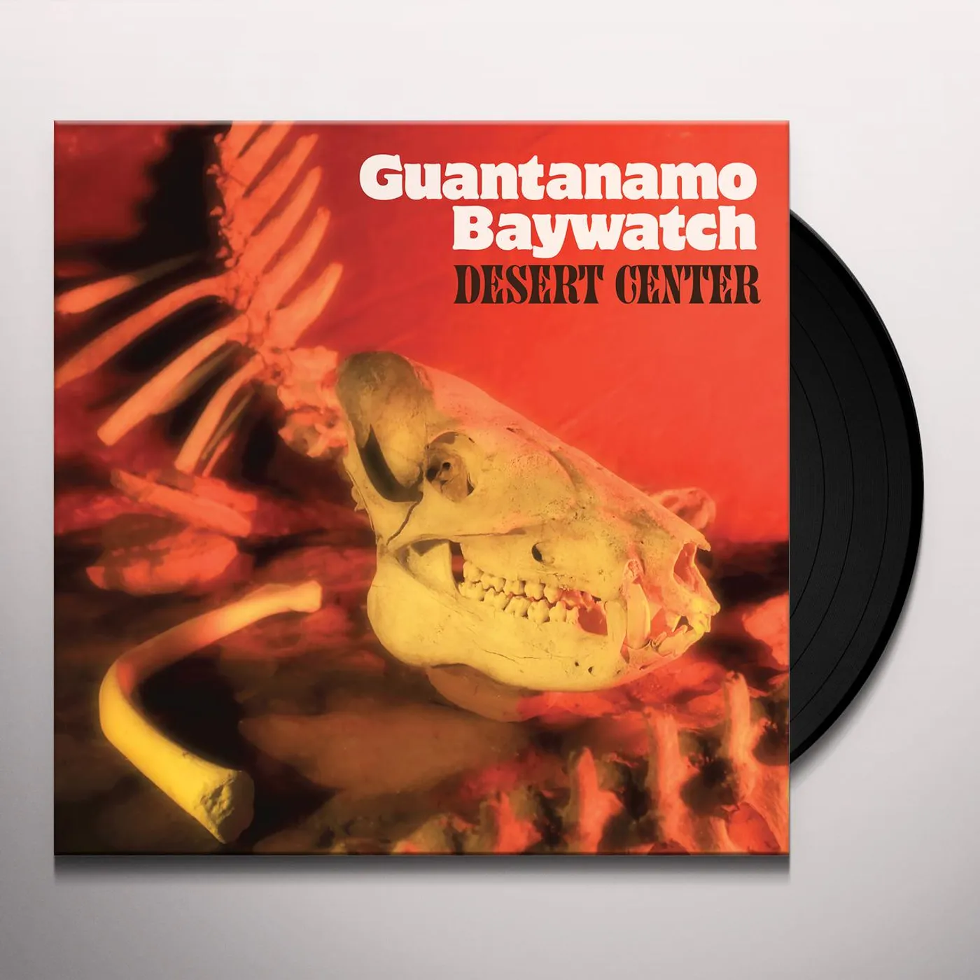 Guantanamo Baywatch Desert Center Vinyl Record