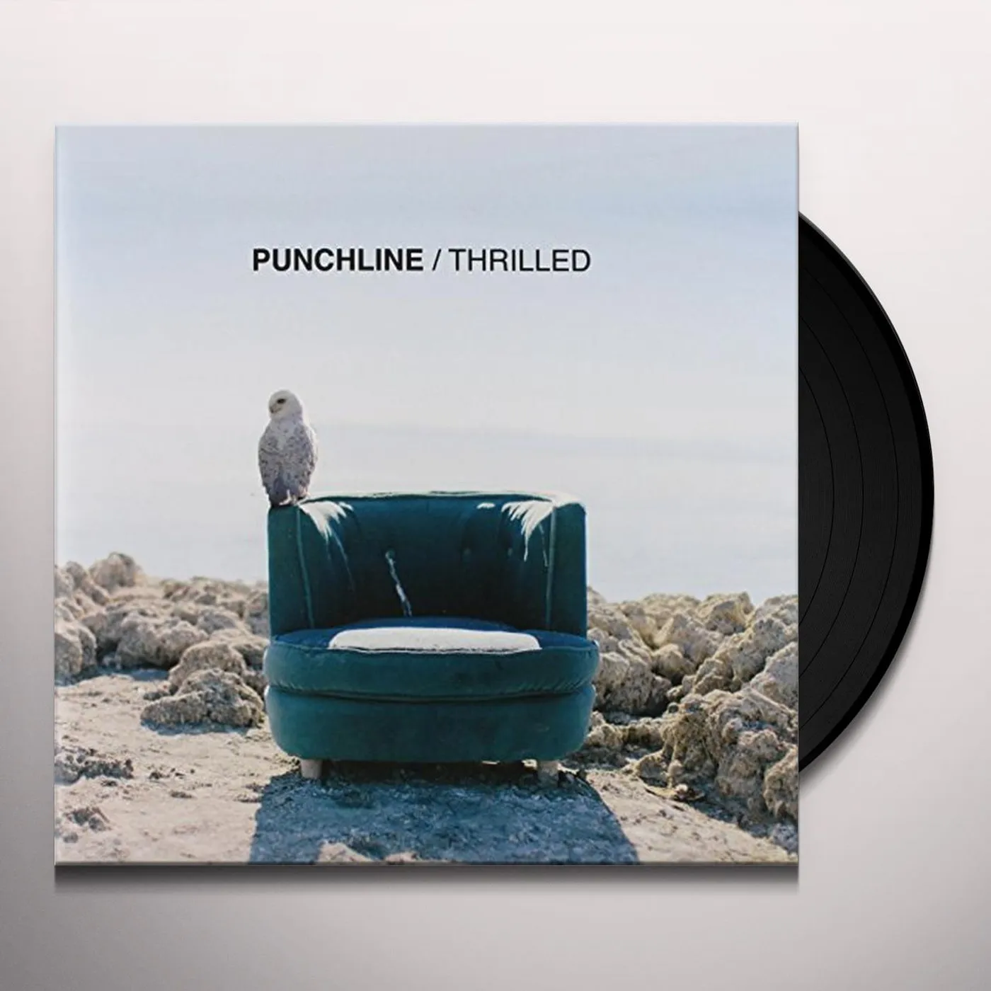 Punchline Thrilled Vinyl Record