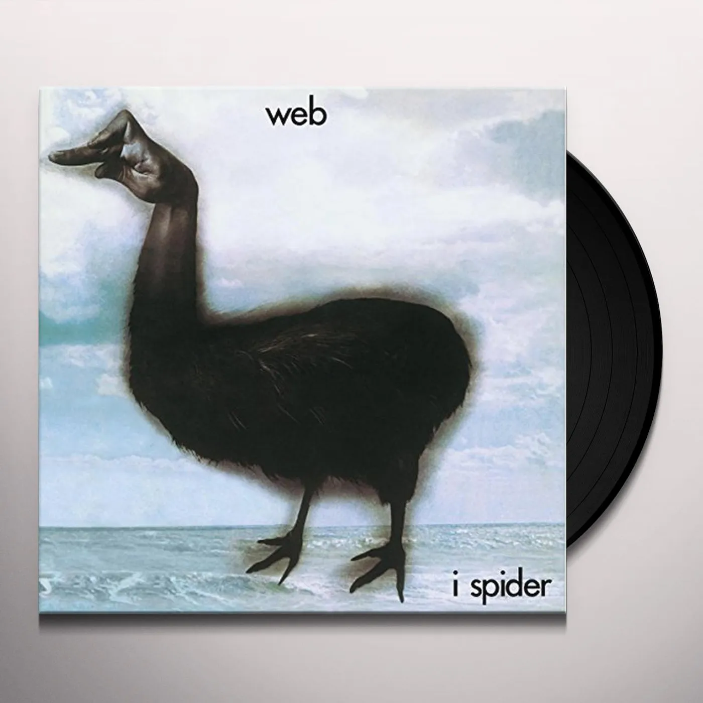 Web I Spider Vinyl Record
