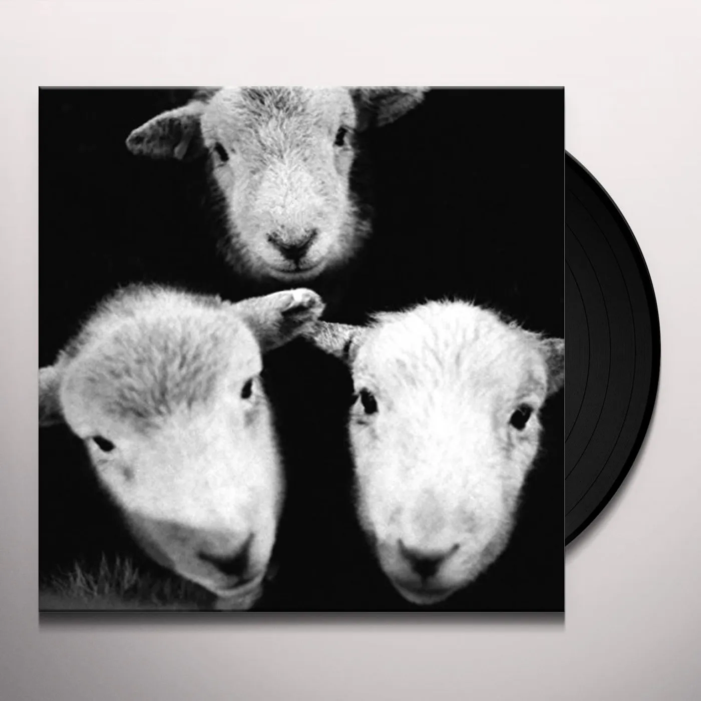 Girl Ray Preacher Vinyl Record