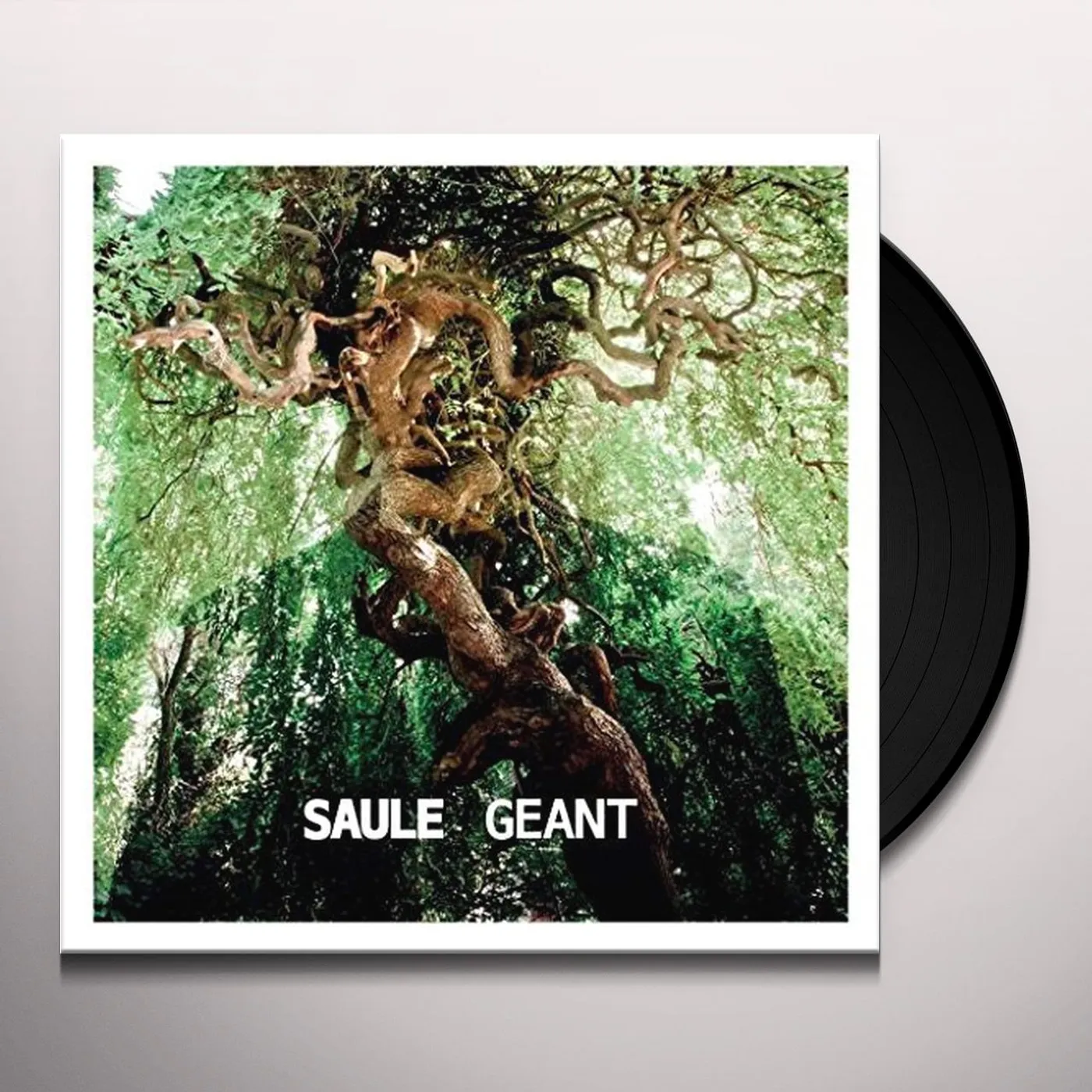 Saule GEANT Vinyl Record