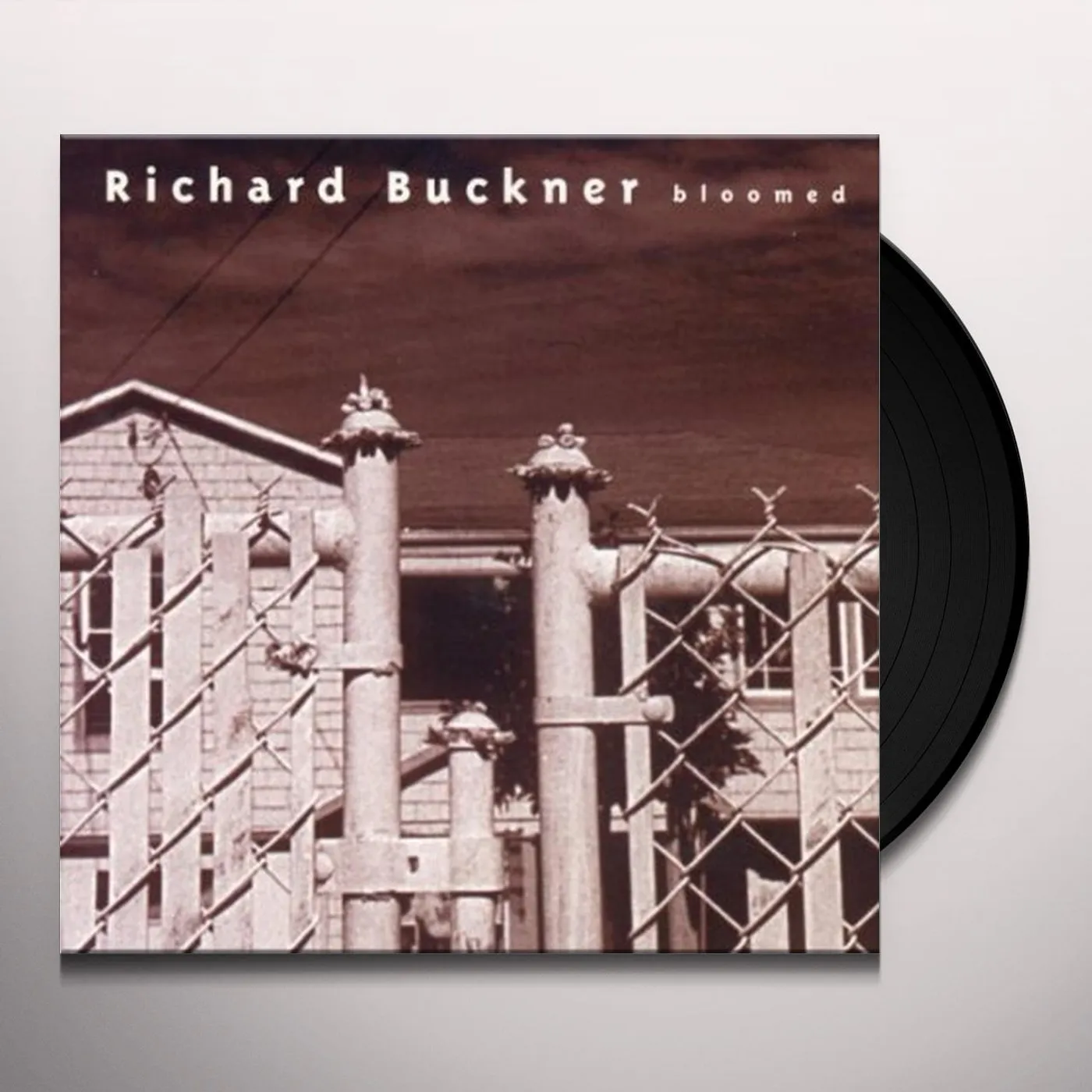 Richard Buckner BLOOMED (REISSUE) Vinyl Record