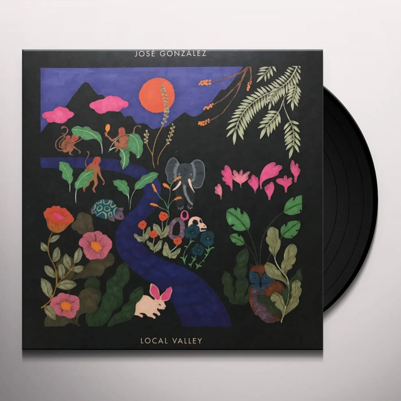 José González Local Valley Vinyl Record