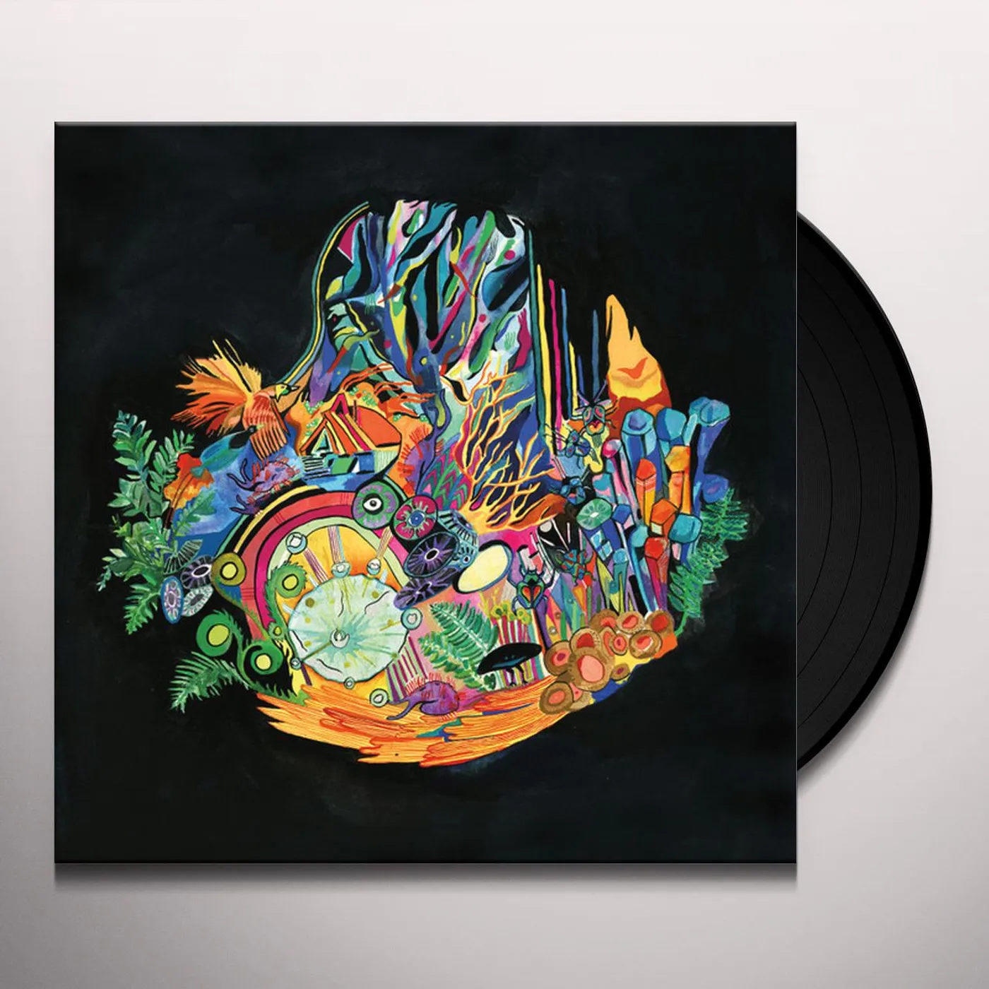 Kaitlyn Aurelia Smith EARS Vinyl Record