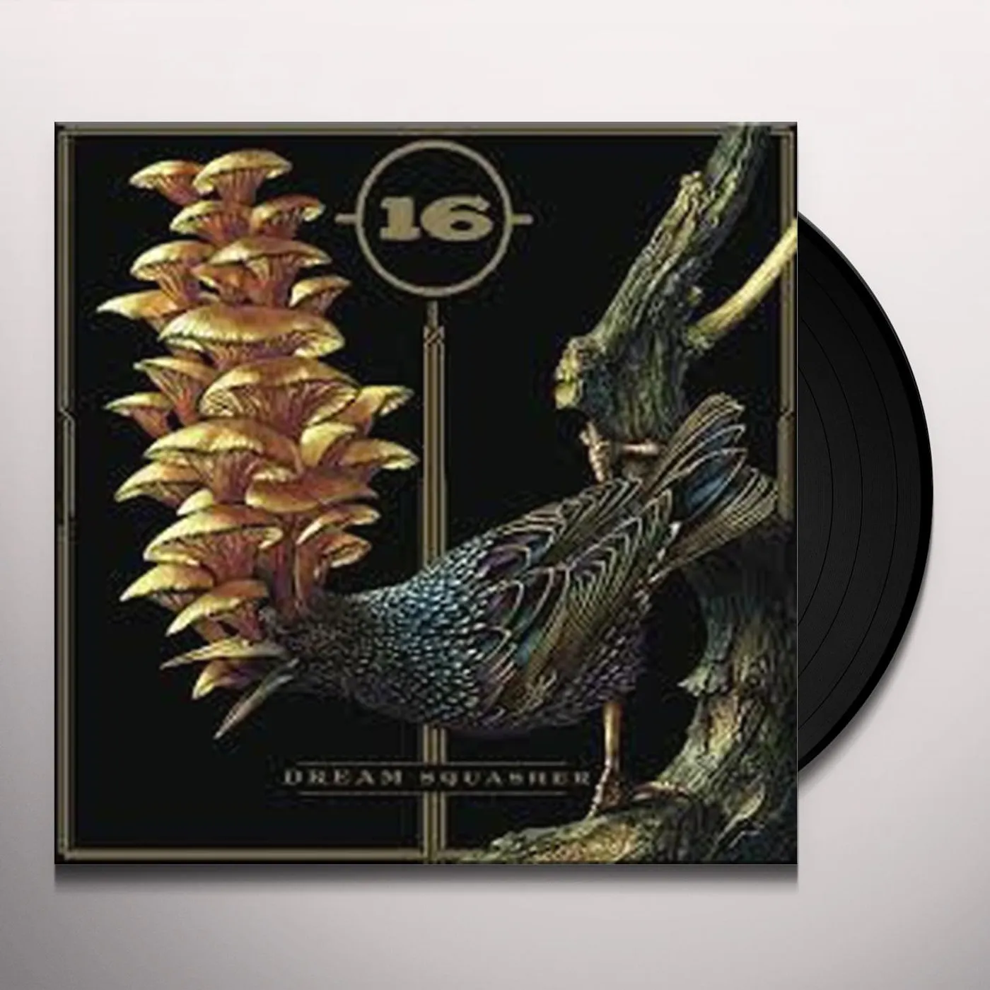 16 Dream Squasher Vinyl Record