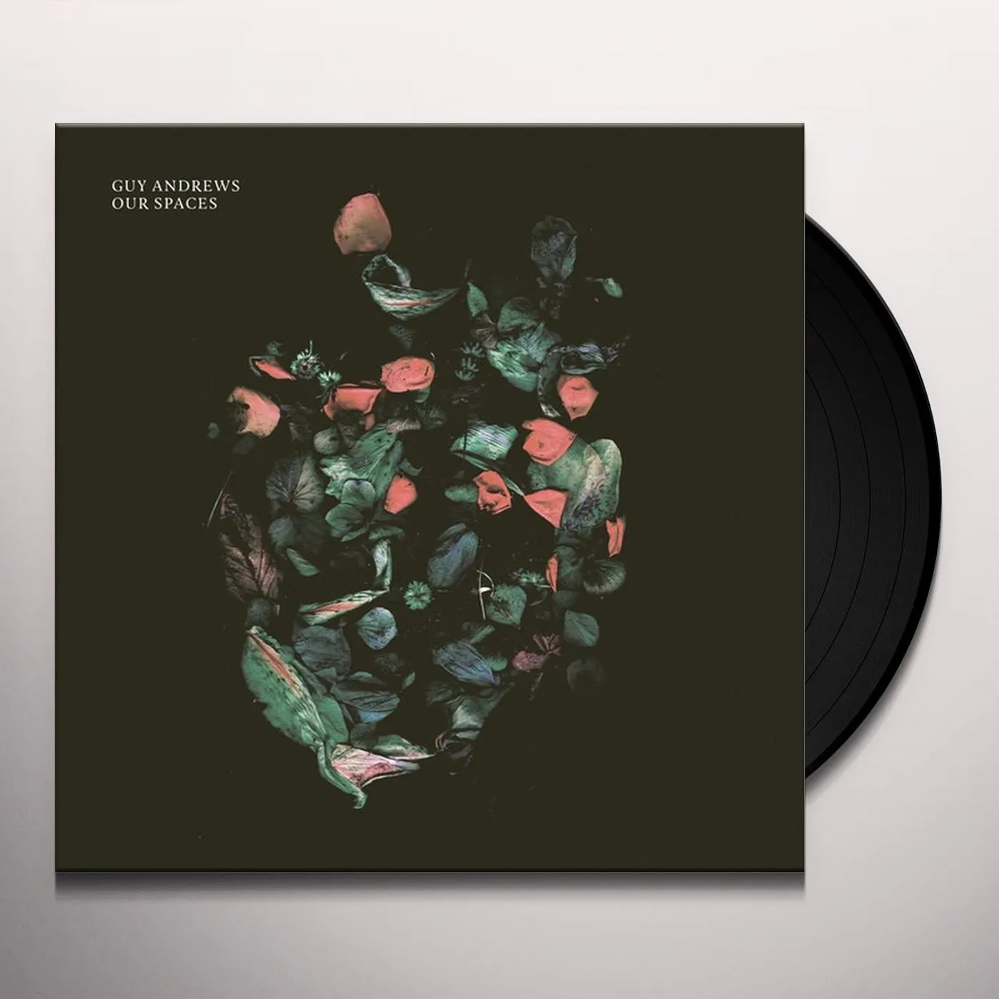 Guy Andrews Our Spaces Vinyl Record