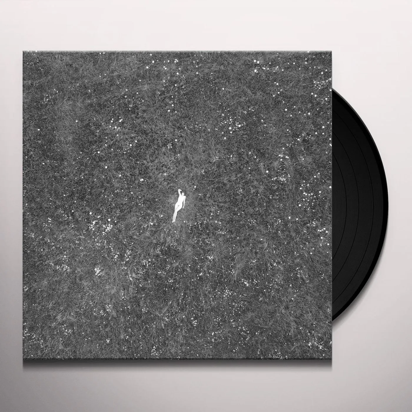 Birds Of Passage LAST OF GARDEN Vinyl Record