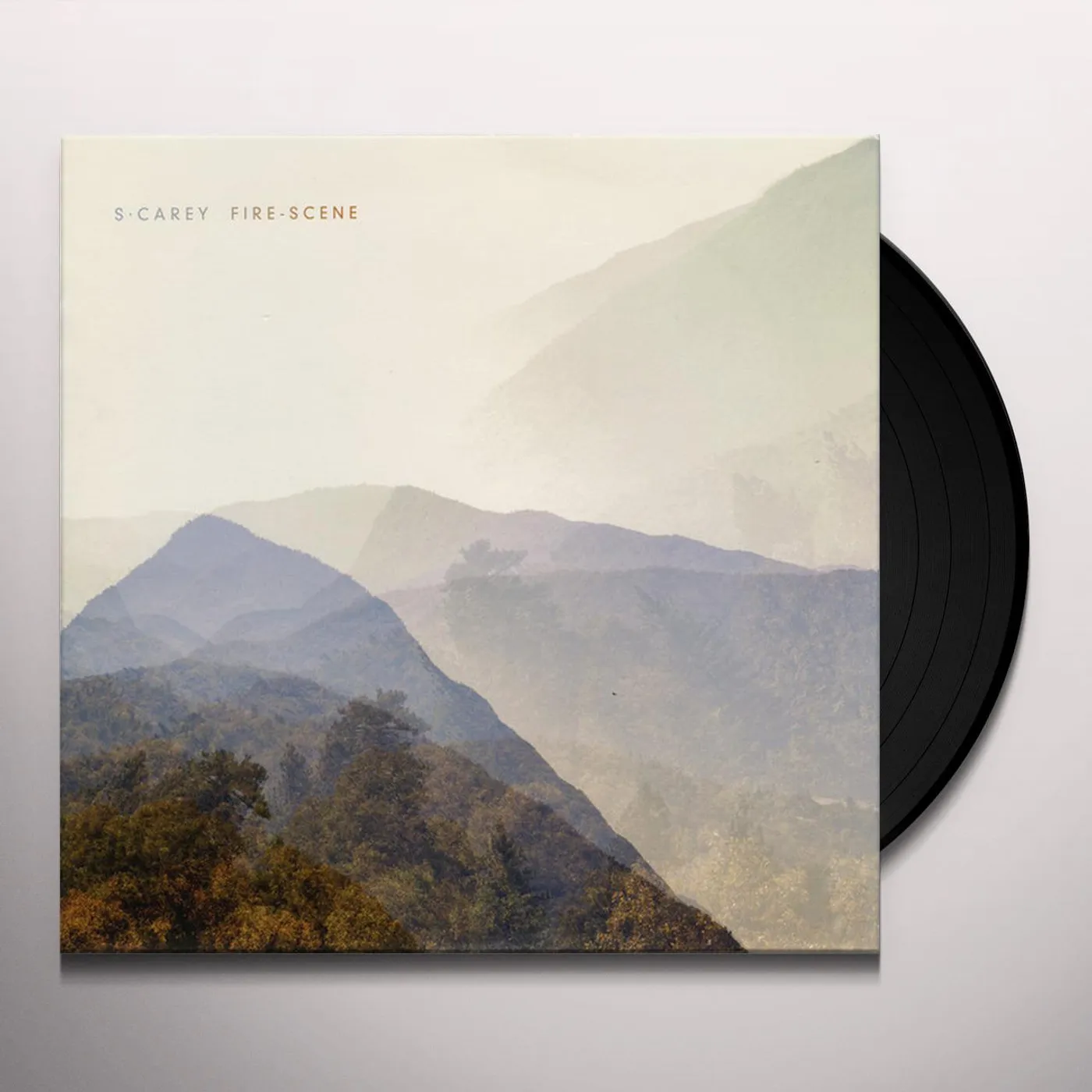 S. Carey FIRE-SCENE / CHRYSALIS Vinyl Record