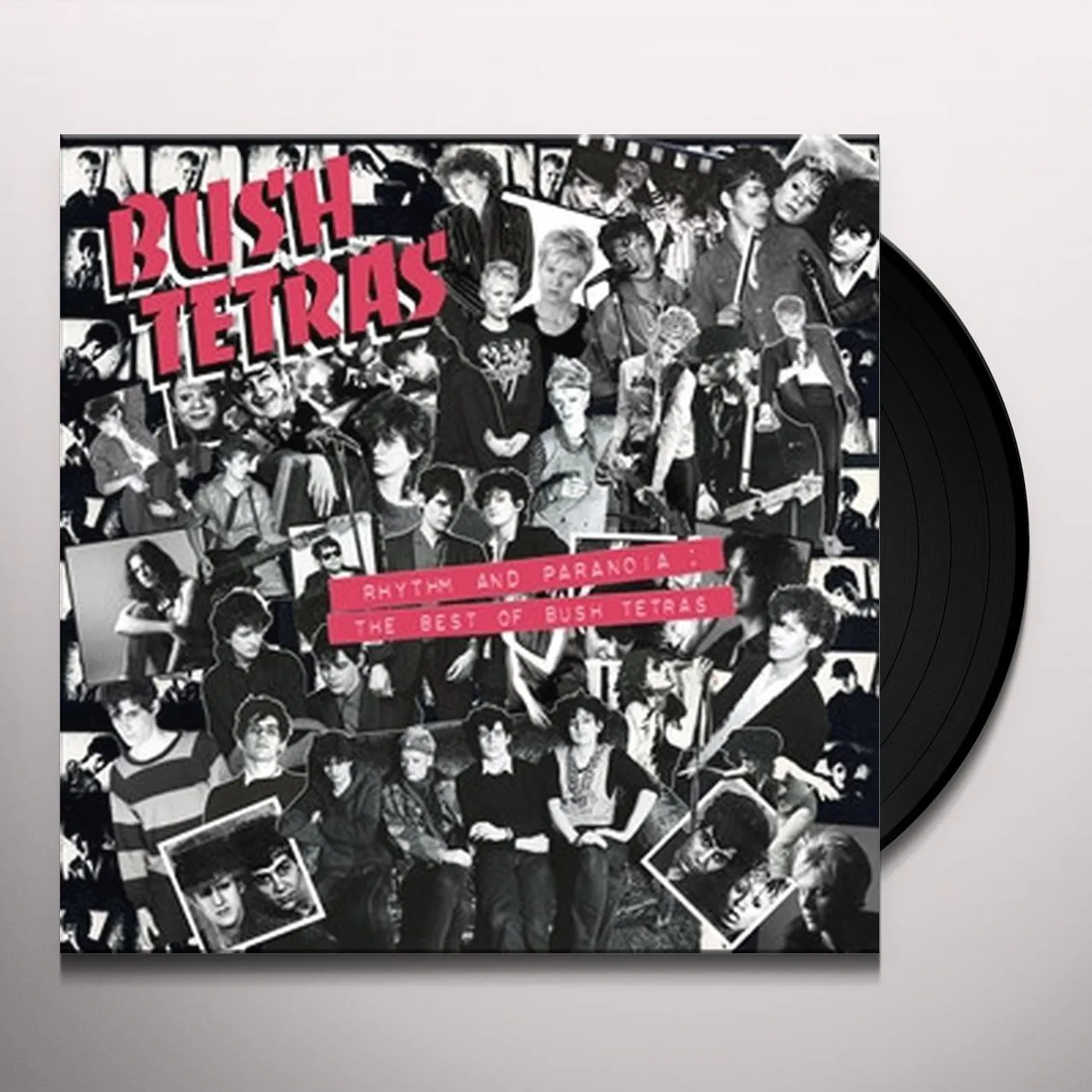 Rhythm and Paranoia: The Best of Bush Tetras Vinyl Record