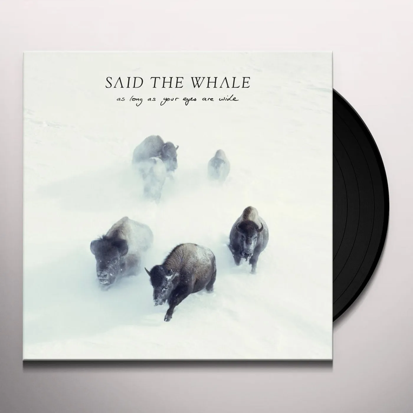 Said The Whale AS LONG AS YOUR EYERS ARE WIDE Vinyl Record