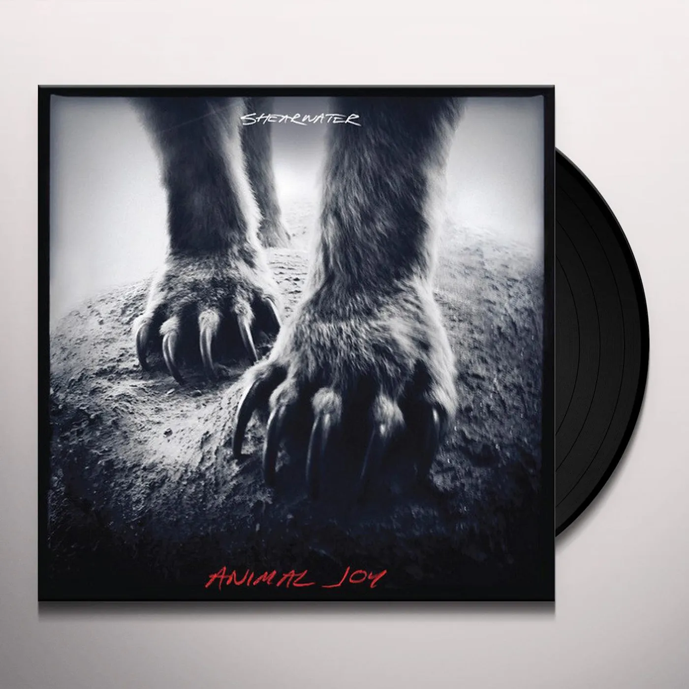 Shearwater Animal Joy Vinyl Record
