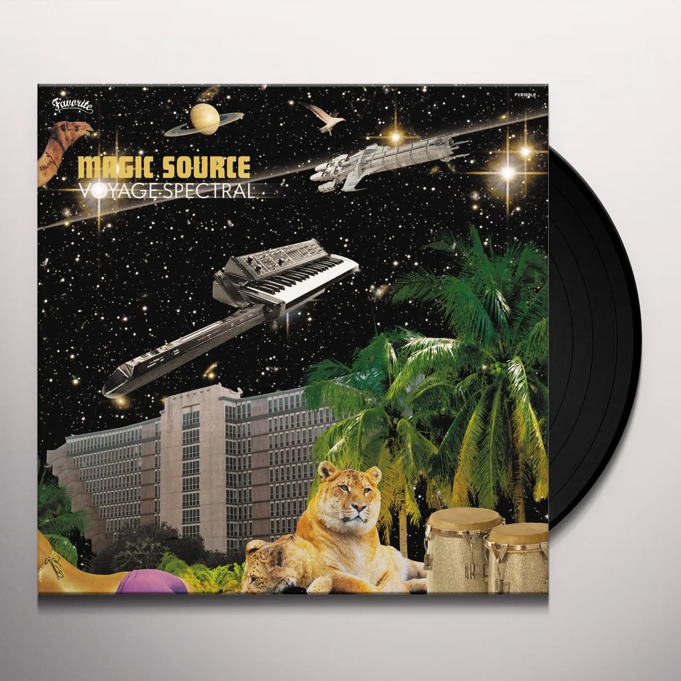 Magic Source VOYAGE SPECTRAL Vinyl Record