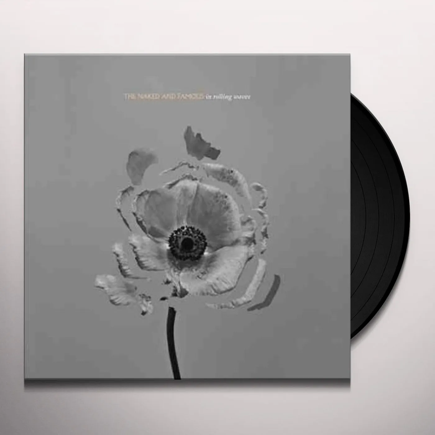 The Naked And Famous In Rolling Waves Vinyl Record