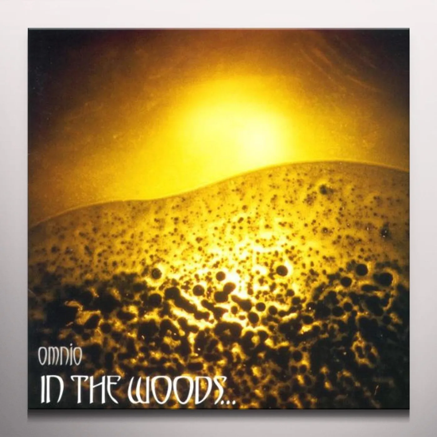 In The Woods... Omnio Vinyl Record