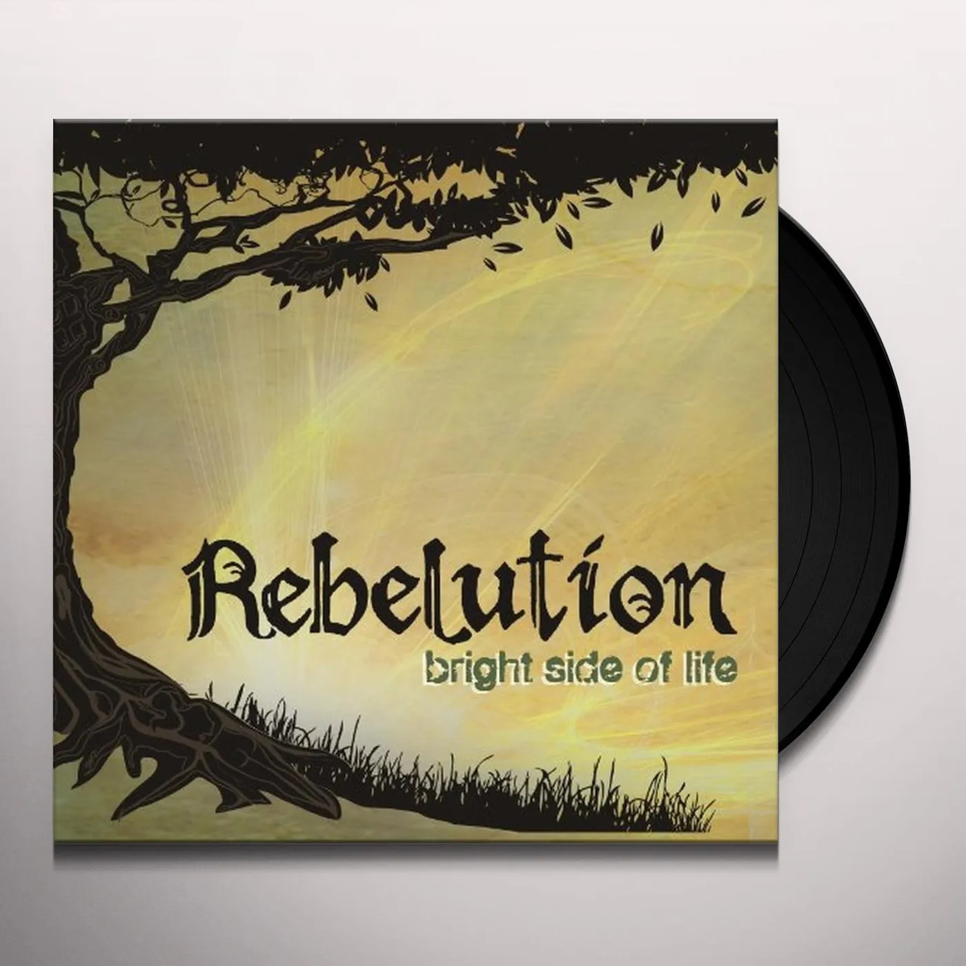Rebelution Bright Side of Life Vinyl Record