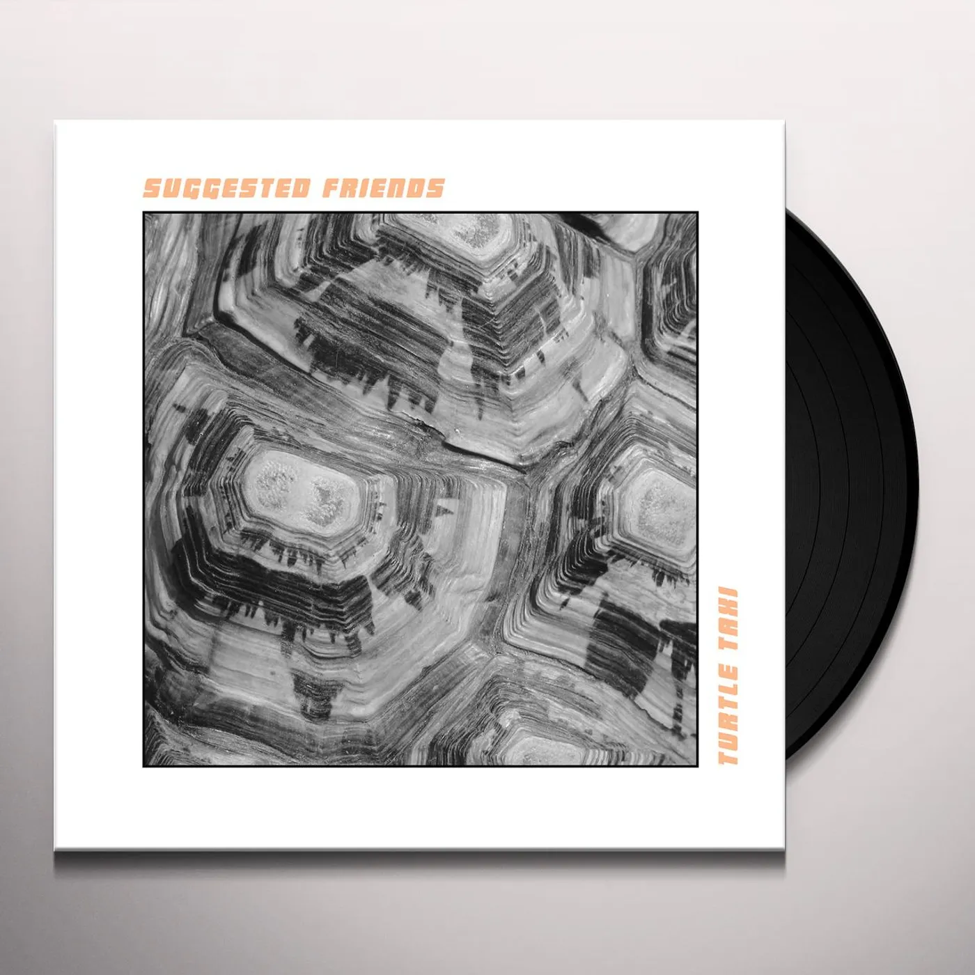 Suggested Friends Turtle Taxi Vinyl Record