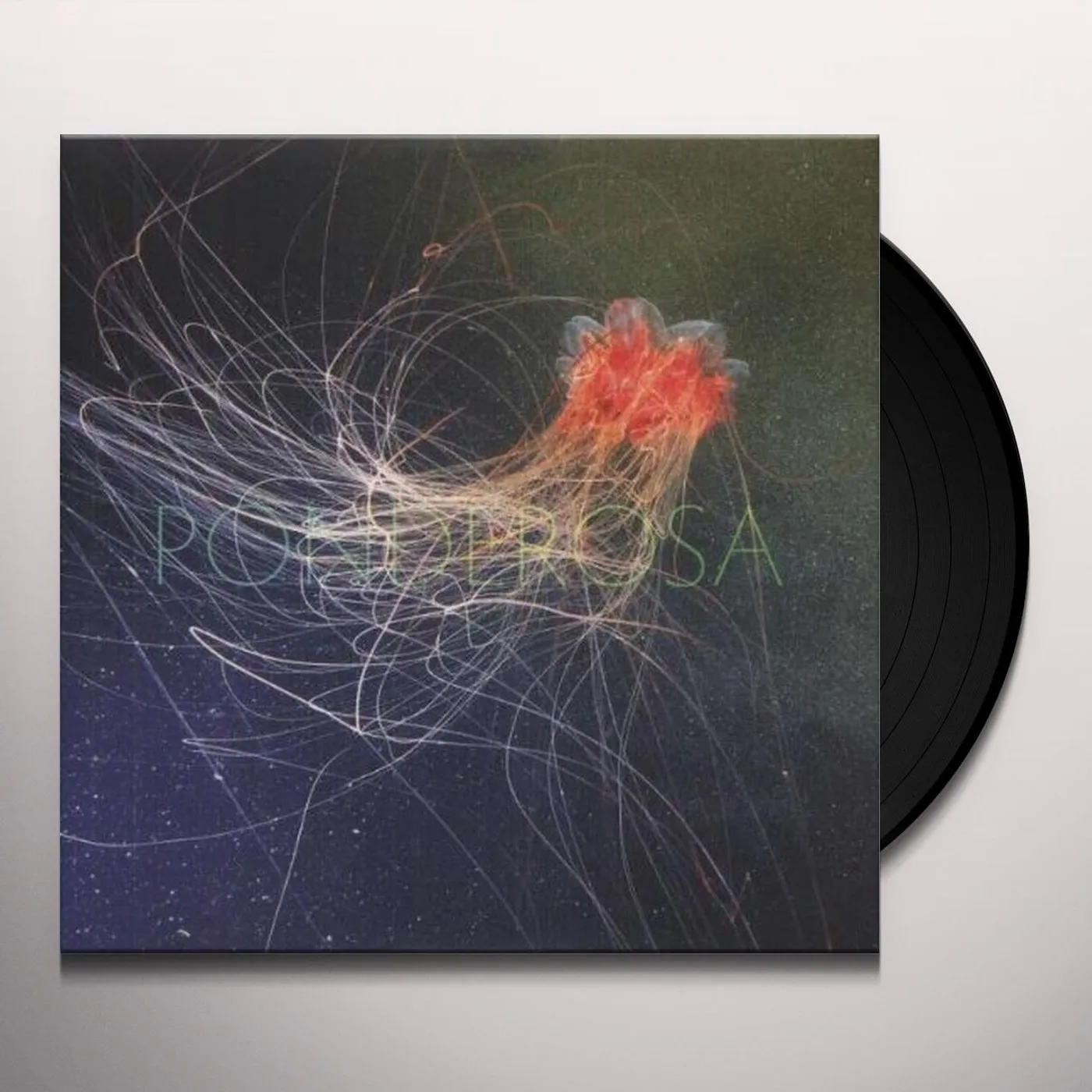 Ponderosa Pool Party Vinyl Record