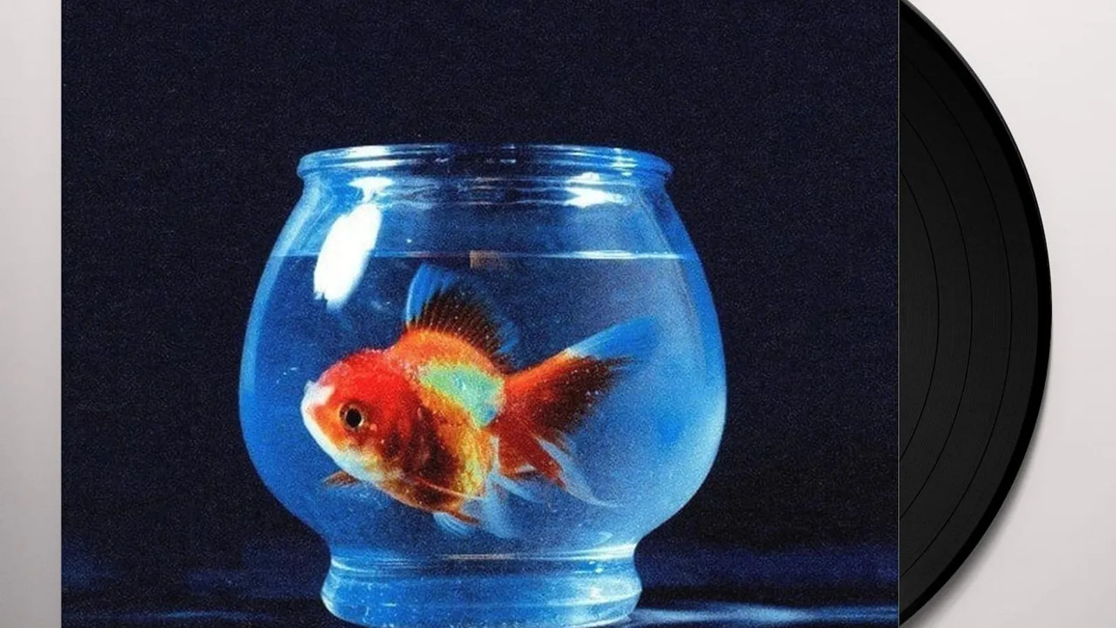 eyJidWNrZXQiOiJtZXJjaGJhci1pbW