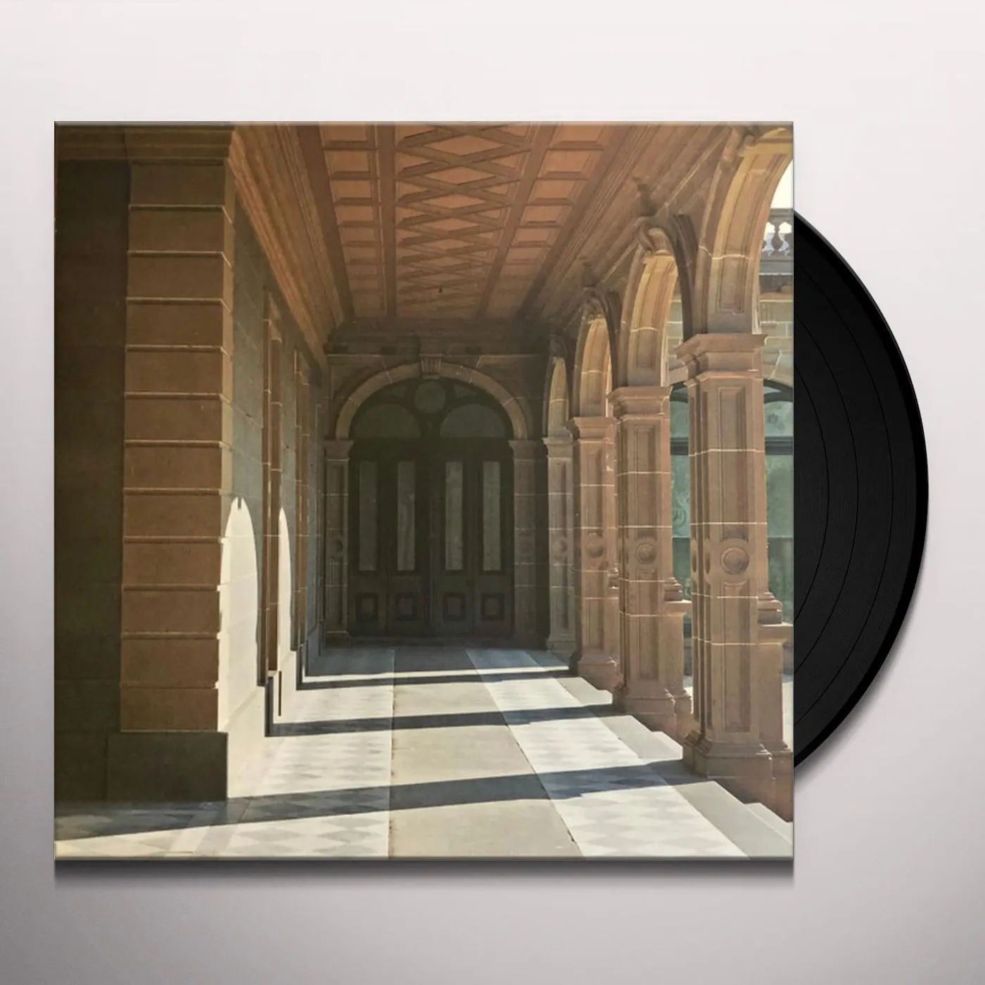 Ducks Ltd. Modern Fiction Vinyl Record