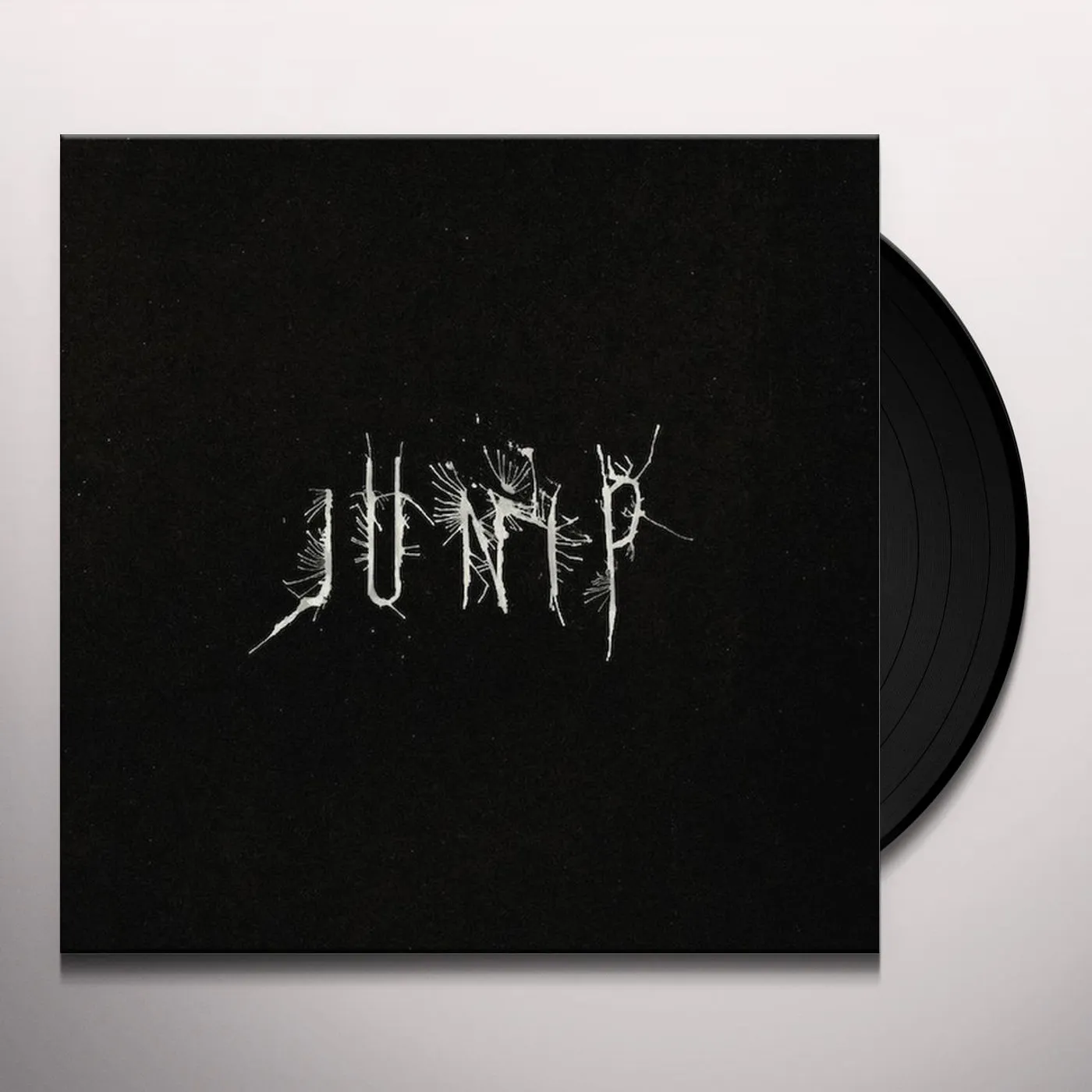 Junip Vinyl Record