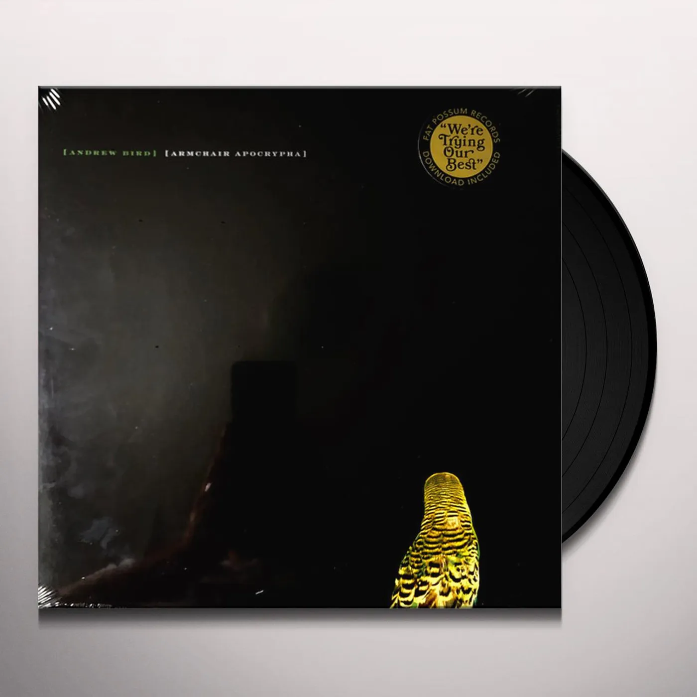 Andrew Bird Armchair Apocrypha Vinyl Record