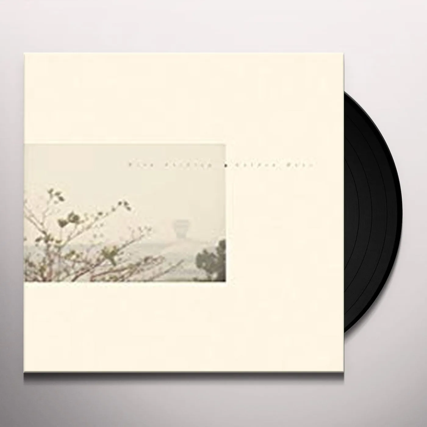 Wild Nothing GOLDEN HAZE (CT10 EDITION) Vinyl Record