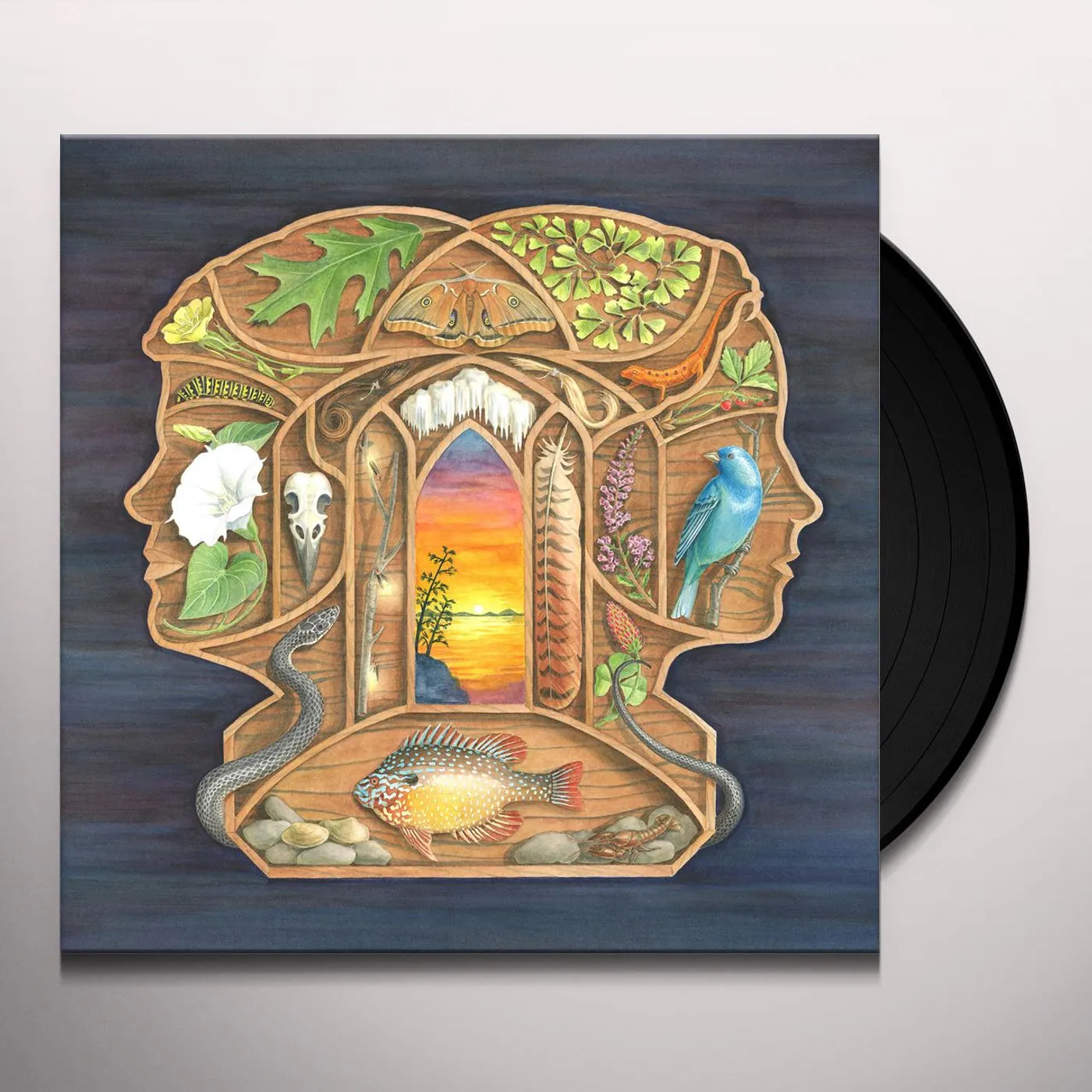 The Other Years Vinyl Record