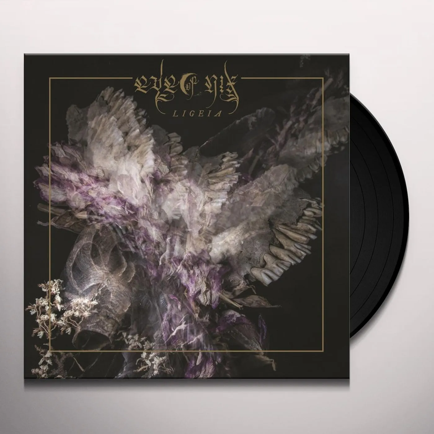 Eye of Nix LIGEIA (180G/LIMITED) Vinyl Record