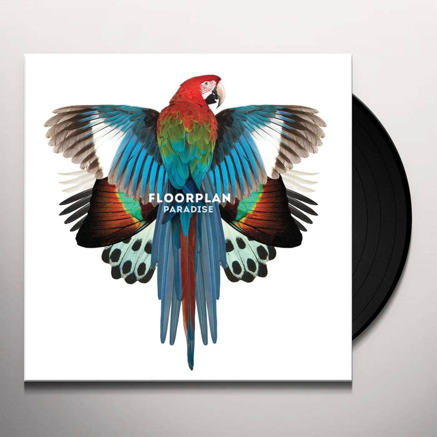 Floorplan Paradise Vinyl Record