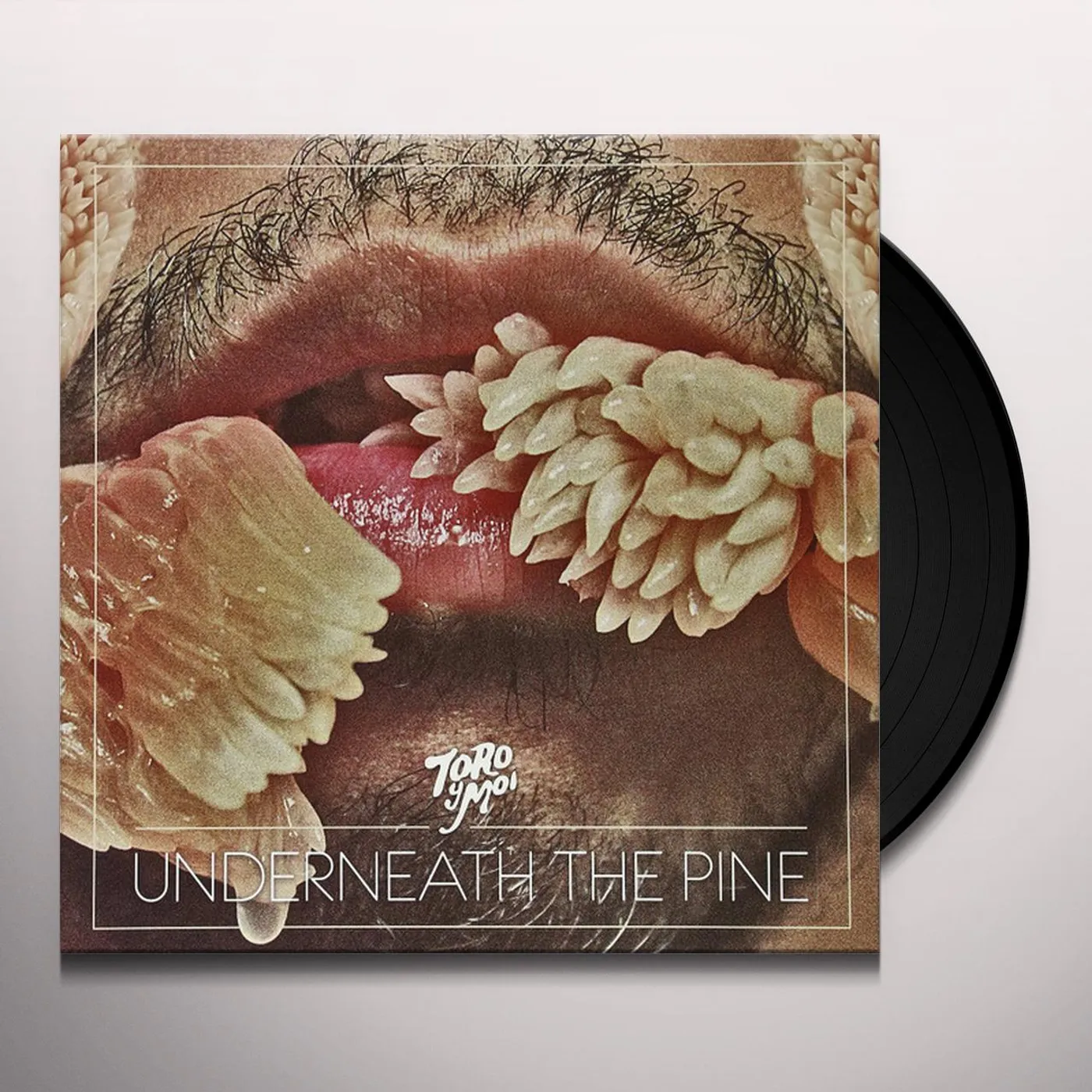 Toro y Moi Underneath The Pine Vinyl Record