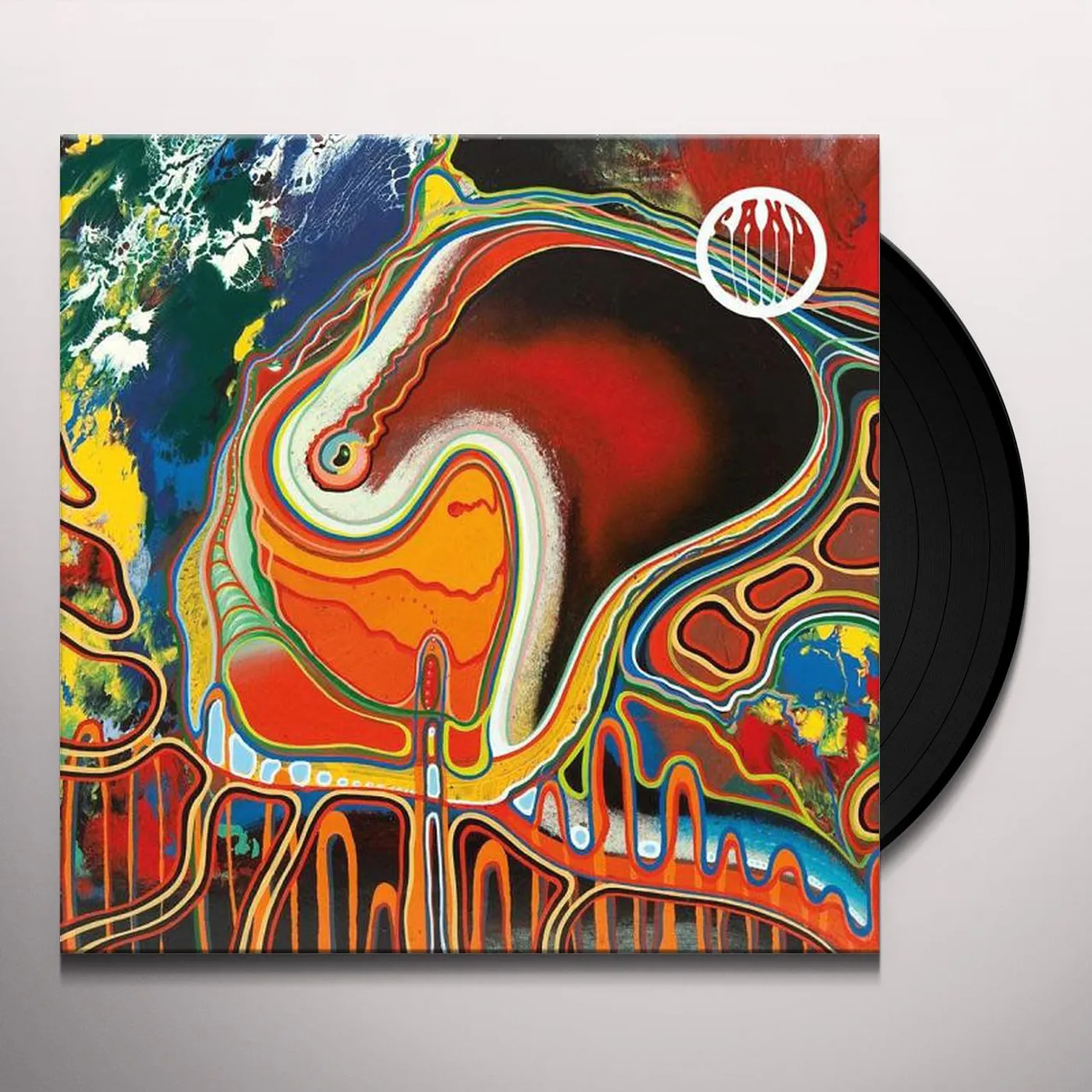 Sand Desert Navigation Vinyl Record