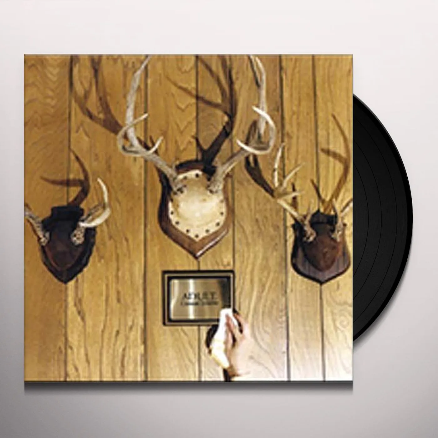 ADULT. Gimmie Trouble Vinyl Record