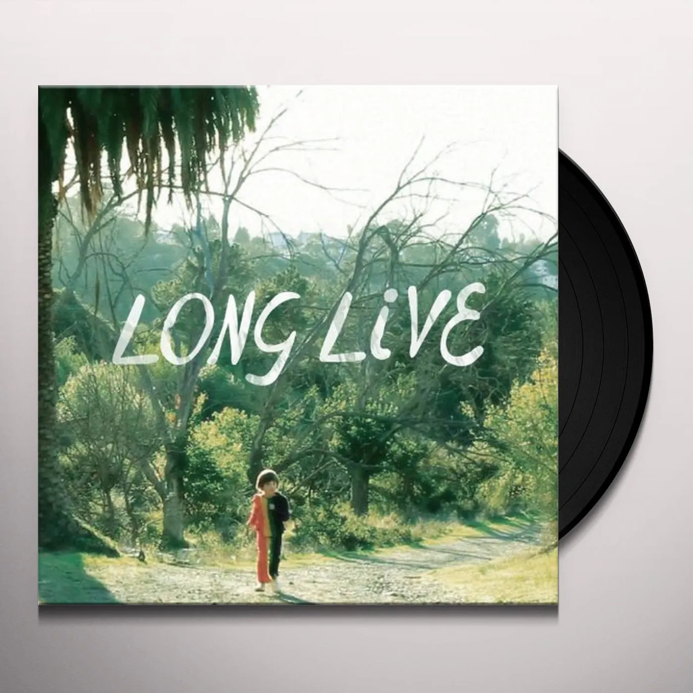 Snowblink Long Live Vinyl Record