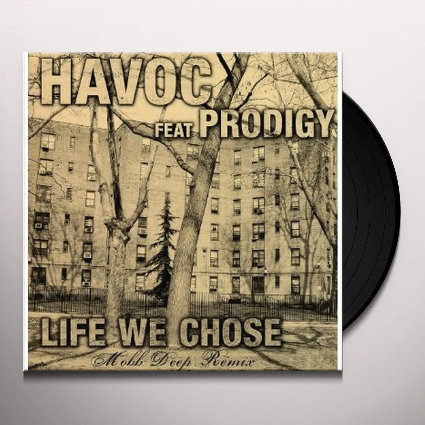 Havoc LIFE WE CHOSE Vinyl Record
