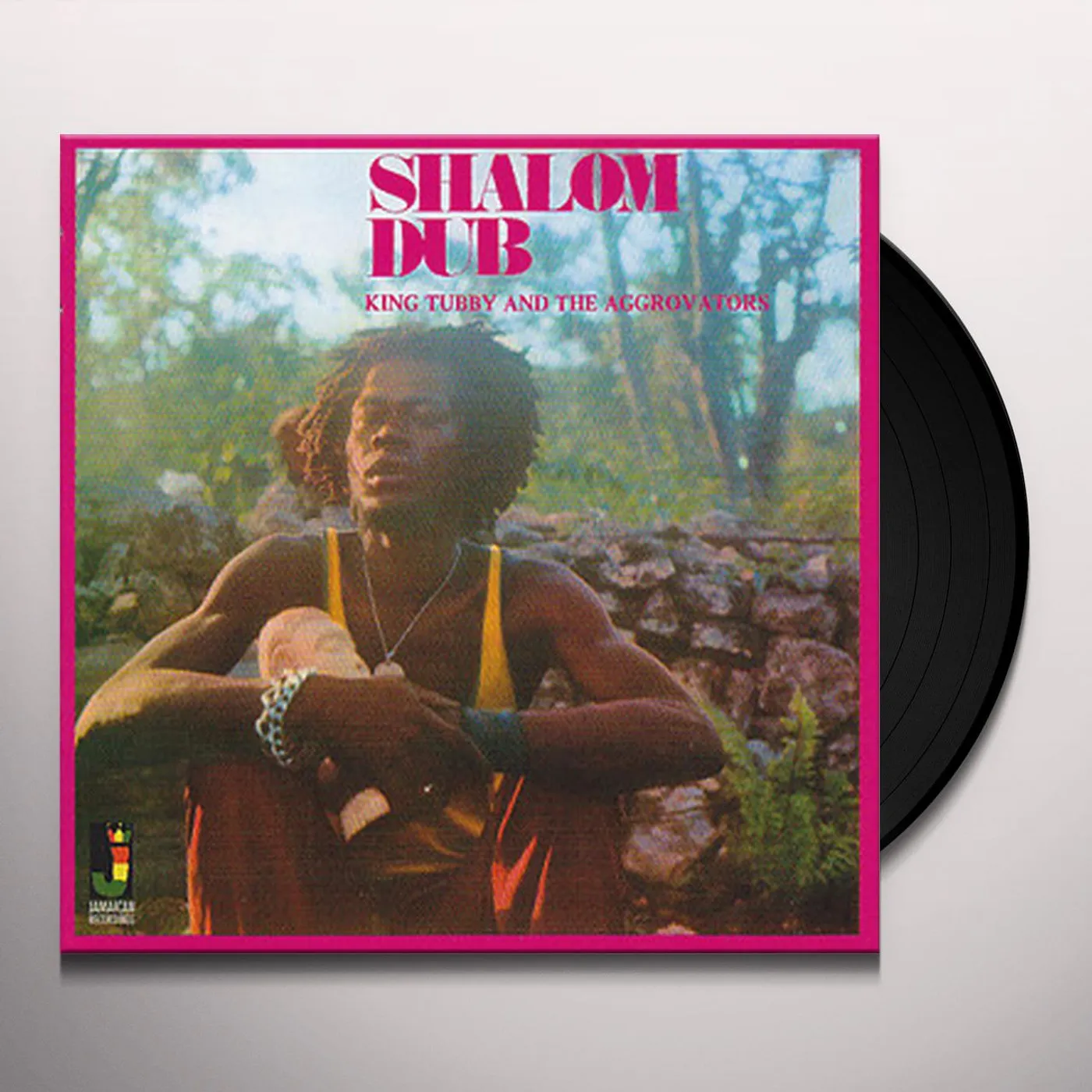 King Tubby & The Aggrovators Shalom Dub Vinyl Record