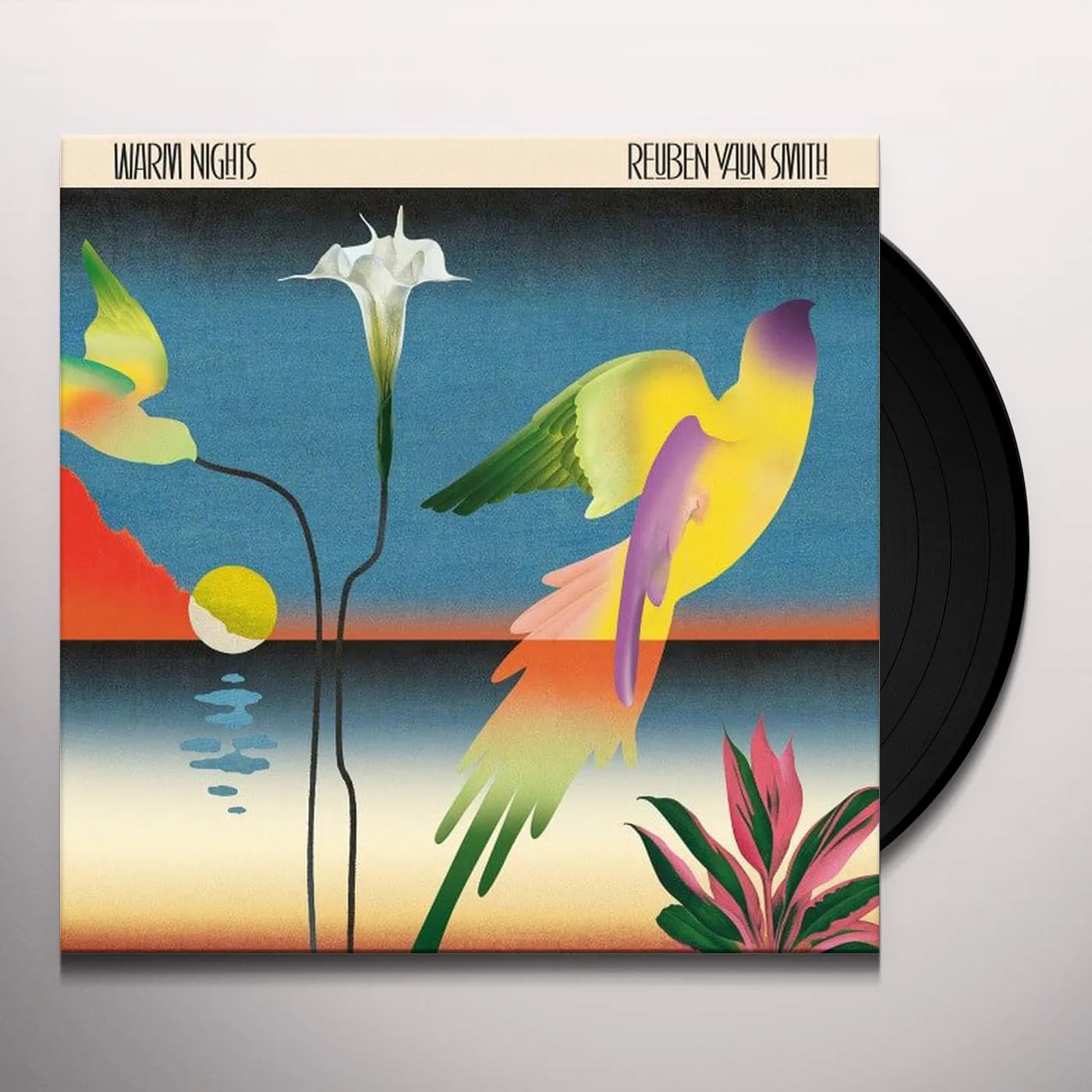Reuben Vaun Smith Warm Nights Vinyl Record