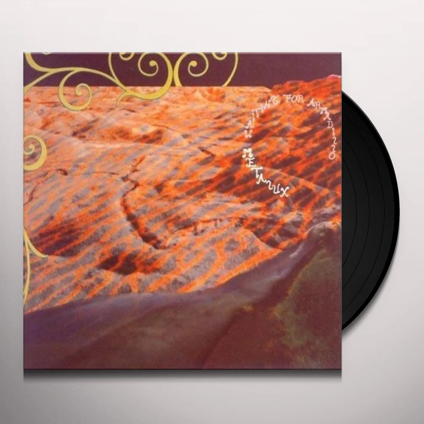Metalux WAITING FOR ARMADILLO Vinyl Record
