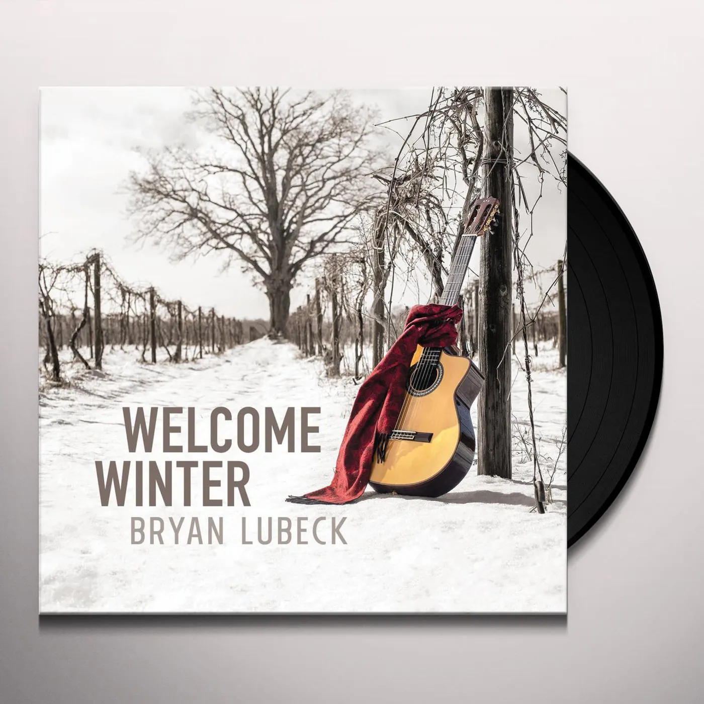 Bryan Lubeck Welcome Winter Vinyl Record