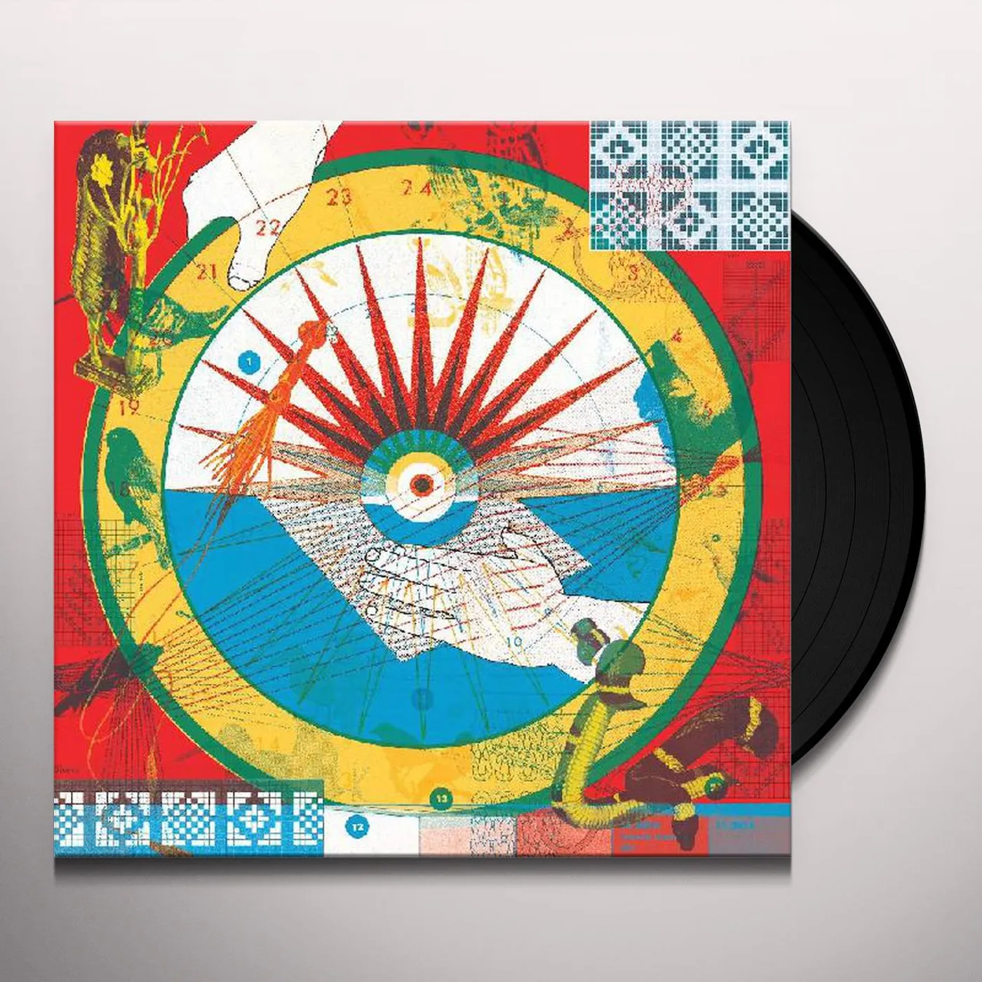 Plants and Animals JUNGLE Vinyl Record