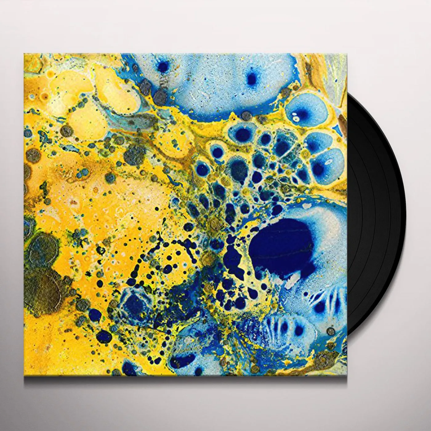 The Gentle Good Ruins / Adfeilion Vinyl Record