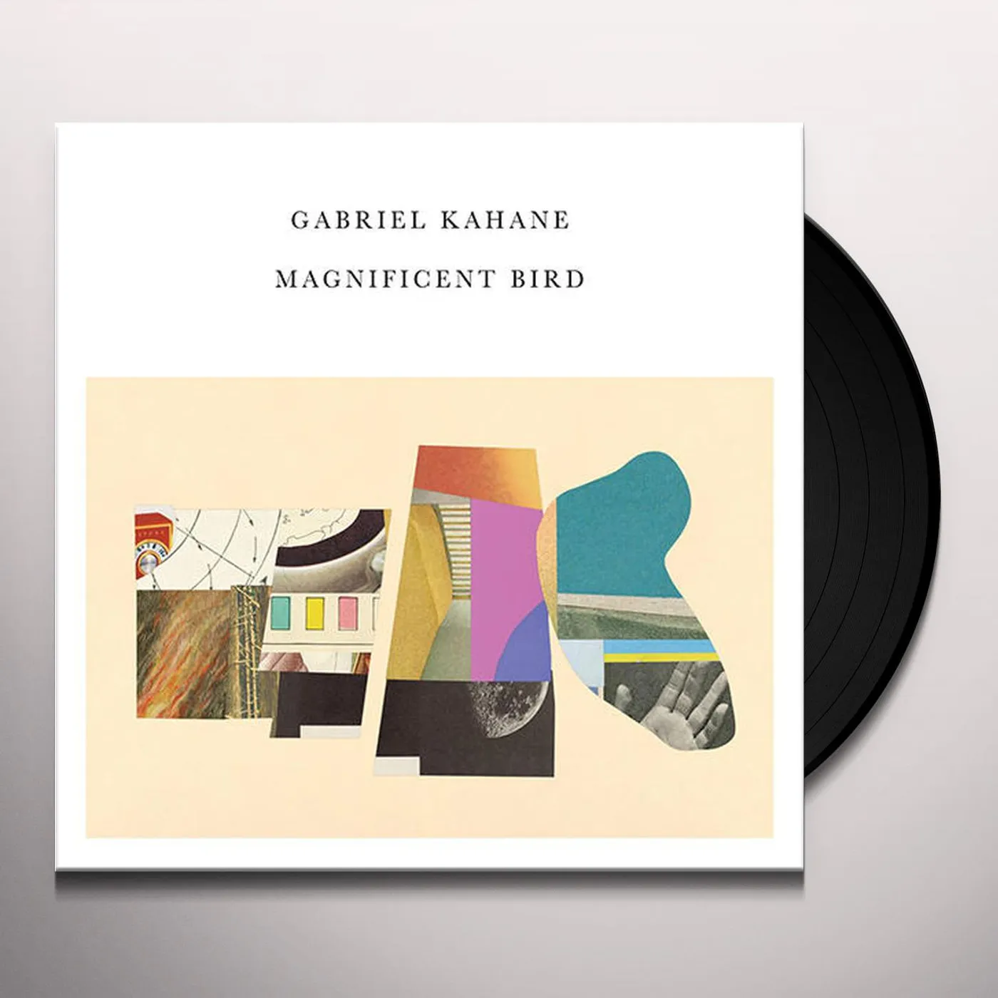 Gabriel Kahane Magnificent Bird Vinyl Record