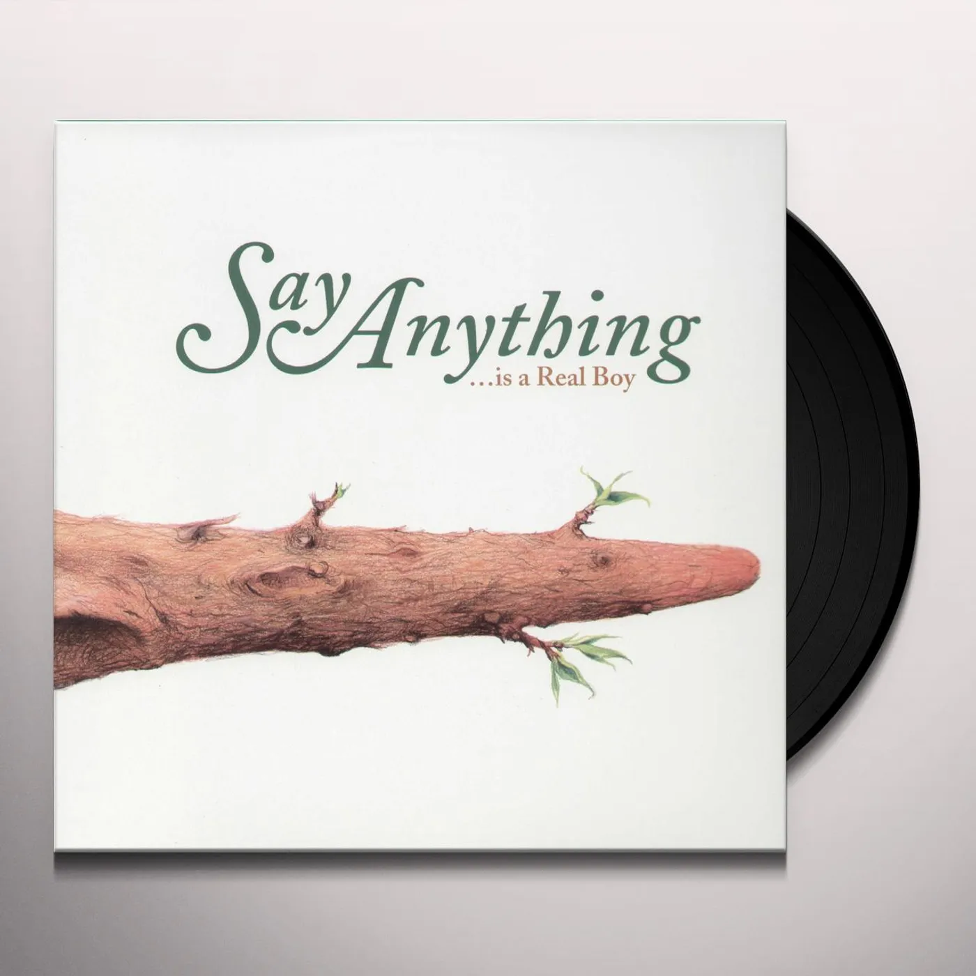 Say Anything IS AREAL BOY Vinyl Record