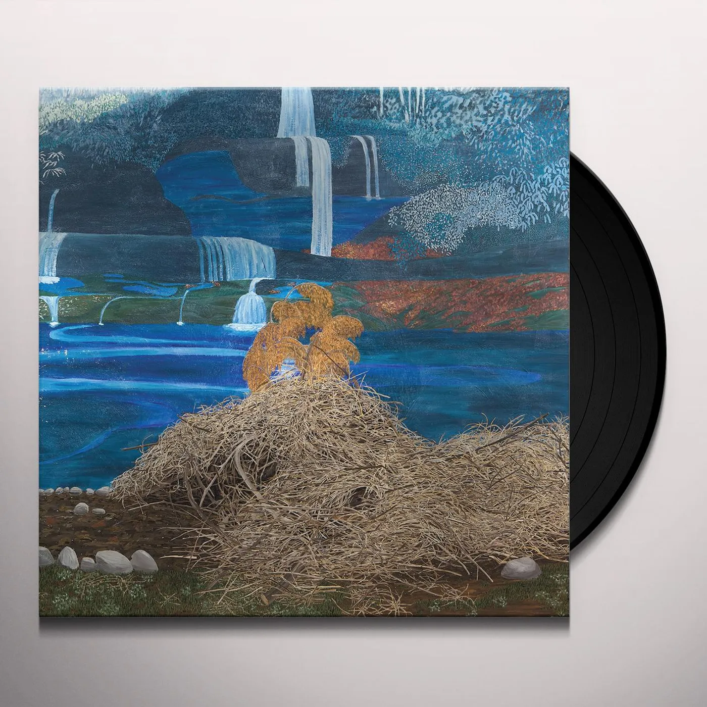 Mary Lattimore At The Dam Vinyl Record