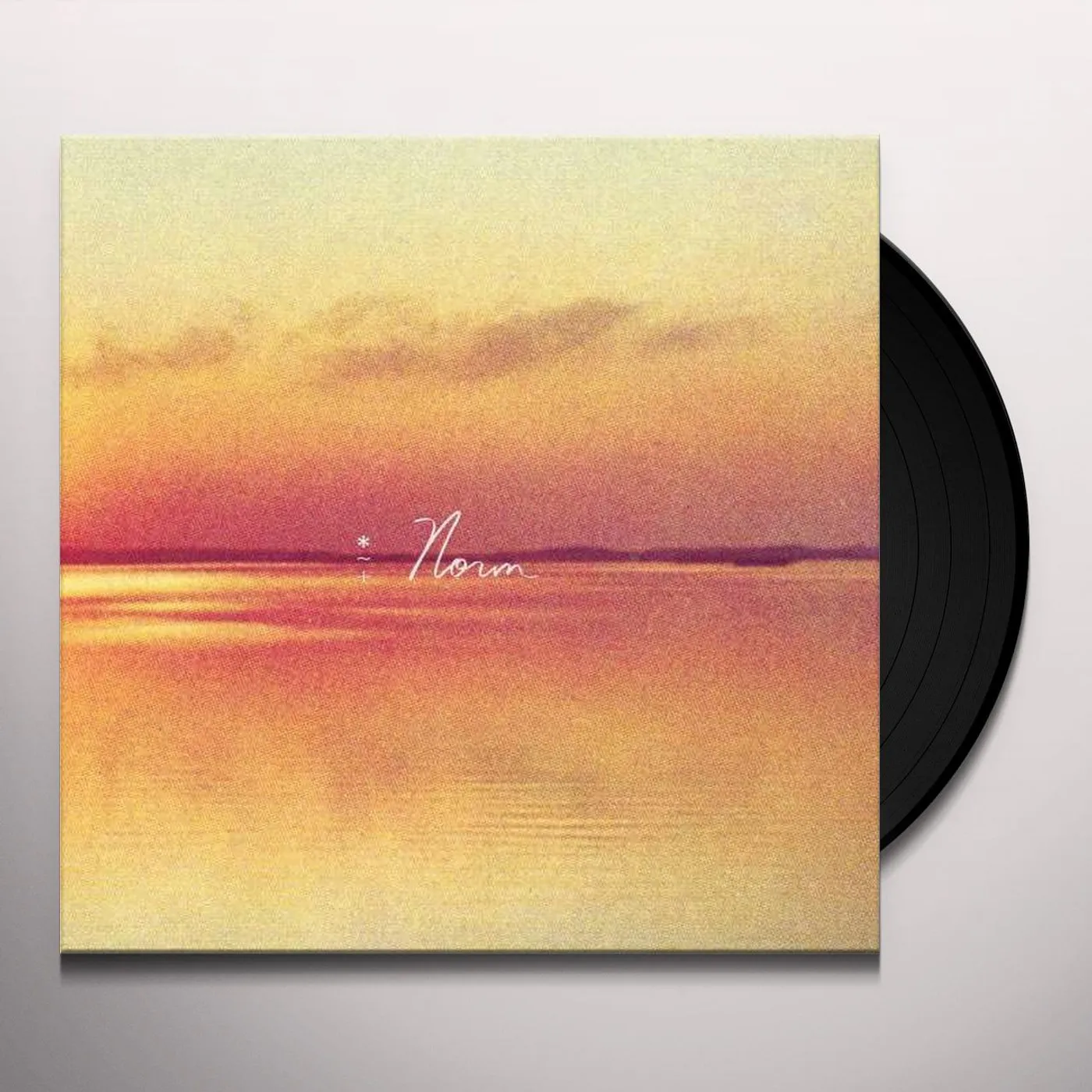 Andy Shauf Norm Vinyl Record