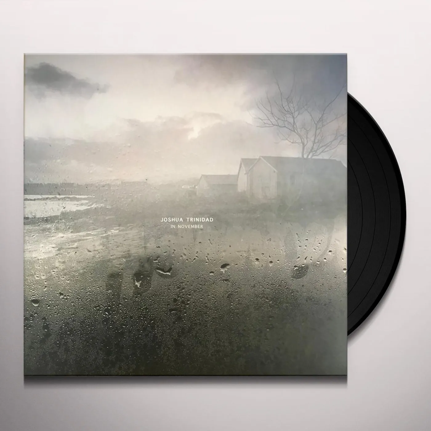 Joshua Trinidad IN NOVEMBER Vinyl Record