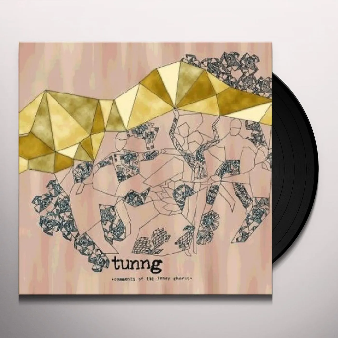 Tunng Comments Of The Inner Chorus Vinyl Record
