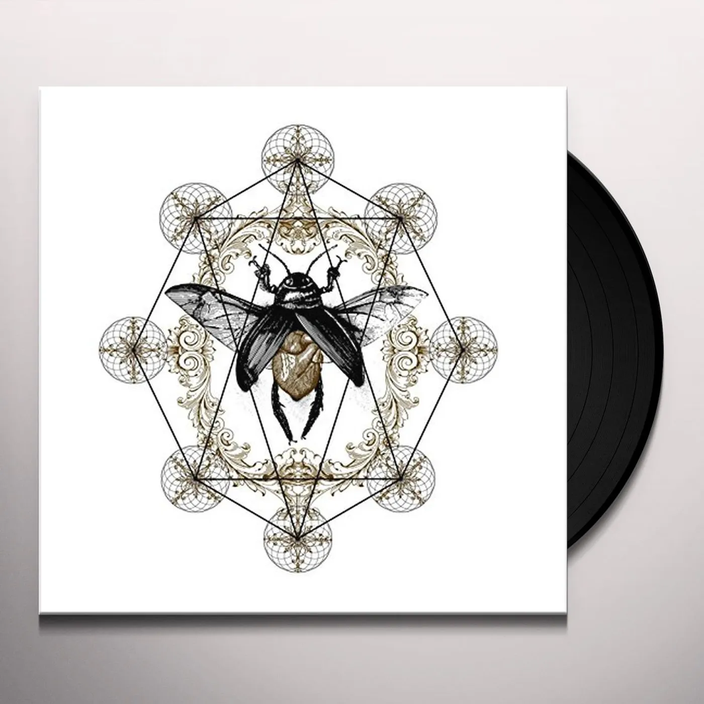 Ohhms Bloom Vinyl Record