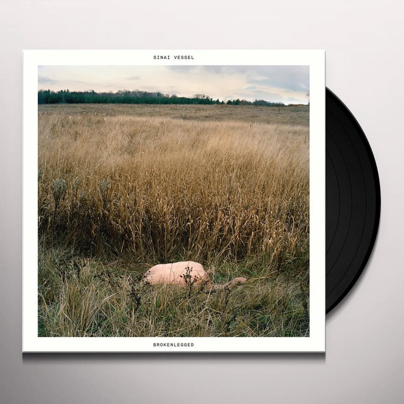 Sinai Vessel Brokenlegged Vinyl Record